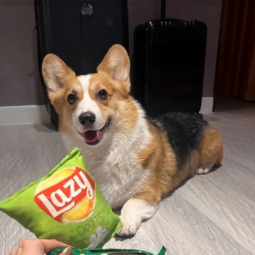 Lazy Doggie Green & Red potato-chip inspired dog toy. Adorable gift. - Picture 3 of 3